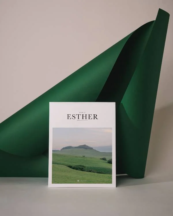 How to choose color for new brand